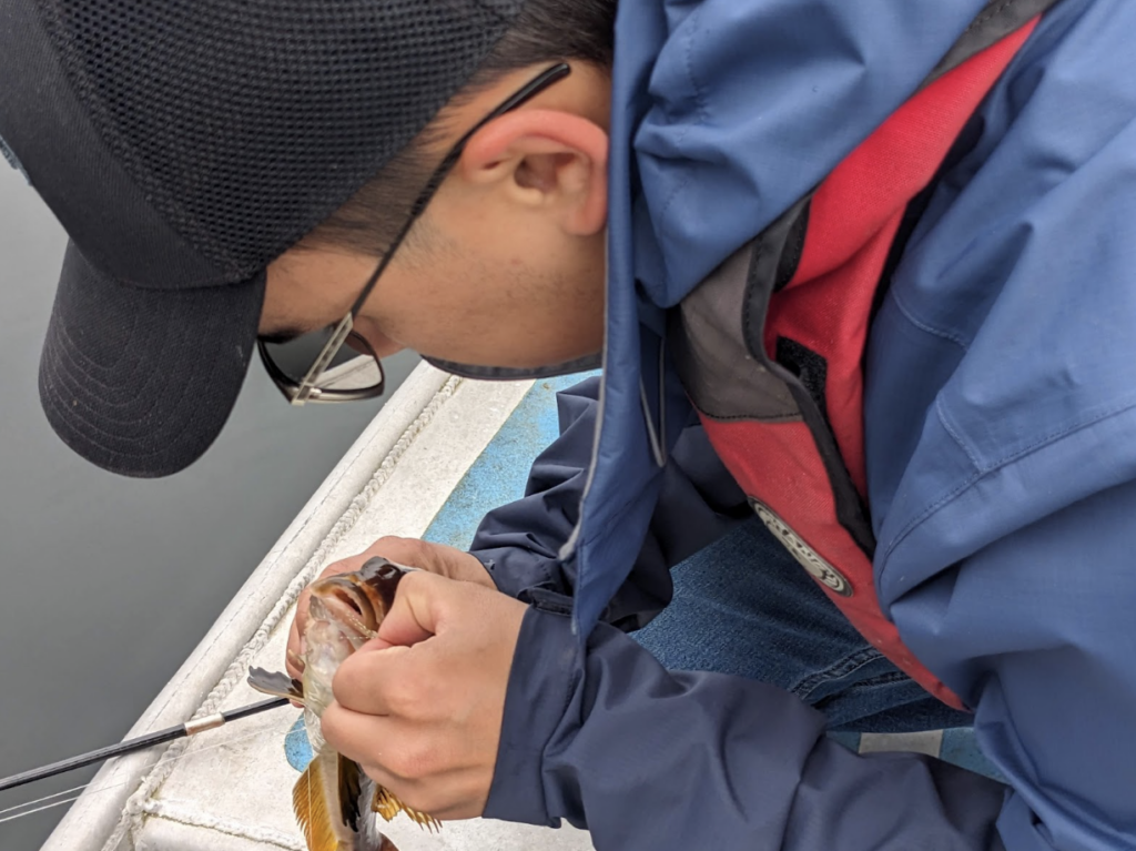 Credit: NOAA Fisheries, Heather Fulton-Bennett
Description: Aksiin unhooks a fish from a jig